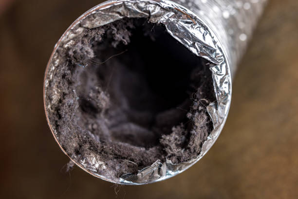 Best Emergency Air Duct Cleaning  in Falls City, NE